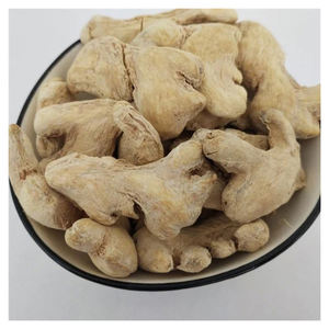 Gingembre séché de qualité supérieure en vrac pour les entreprises de produits épicés à l'étranger, les transformateurs alimentaires naturels et les fabricants de produits à base de plantes - Product Image 3