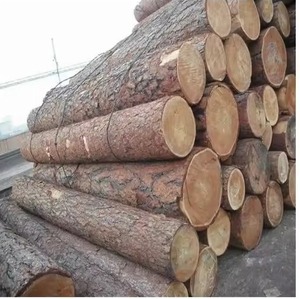 Export Quality Timber <b>Logs</b> for Construction Industry Wood Manufacturing and Commercial Processing Plants - Product Image 5