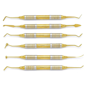 Instruments dentaires Bone Bridge Instruments BBI-464 en acier inoxydable couleur or, manuels, 6 pièces, classe I, pour le nettoyage et le remplissage composite - Product Image 3