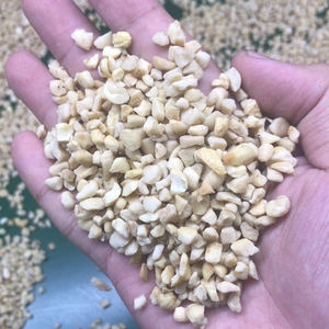 Noix de cajou brutes vietnamiennes de haute qualité, savoureuses et délicieuses, collations fraîches soigneusement sélectionnées pour l'exportation - Product Image 2