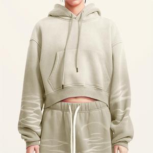 Sweat à capuche décontracté pour femme, grande taille, en tissu éponge polyester infroissable, motif uni, avec logo personnalisé, pour l'hiver, par transfert thermique - Product Image 1