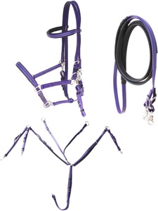 Nouveau Design Cheval Bride Fabriqué en Inde Cheval PVC Enduit Endurance Ensemble 3 Pièces Halter Bride Poitrine Collier Rênes - Product Image 2