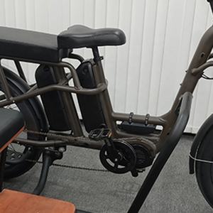 RaiderTrike-C201 48v <span class=keywords><strong>750w</strong></span> gros pneu Tricycle électrique Cargo vélo électrique latéral 3 roues électriques vélos pour tous les styles de vie - Product Image 3
