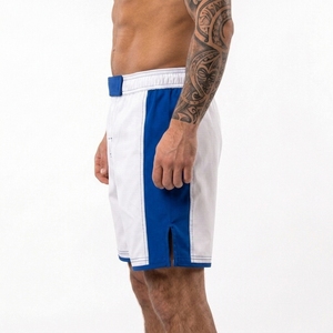 Shorts MMA personnalisables de qualité supérieure pour adultes unisexes, durables, respirants, 100% polyester, légers, séchage rapide, 180g - Product Image 4