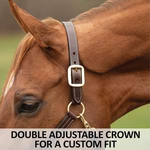 Harnais pour cheval en cuir super doux rembourré, noir ou cuir havana, personnalisé avec des perles turquoise et des cristaux brillants - Product Image 4