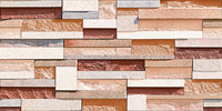 Carreaux muraux Premium Choice de qualité supérieure, carreaux d'élévation Asia Tiles 300x600mm pour articles de santé.