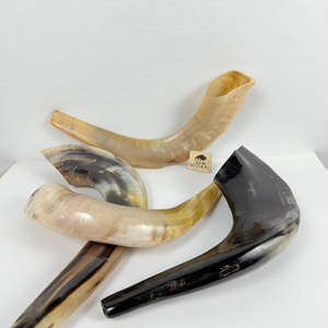สวดมนต์ราคาที่ดีที่สุด RAM Horn shofar Israel Kosher ยิวยิว yemenite shofar ธรรมชาติ Hashanah Kosher kudu - Product Image 4