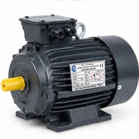 Motor Induksi Tiga Fasa 2 Motor 1 kW Tugas Berat 460/480 V 1500 RPM Pemasangan Kaki Efisiensi IE2 Tertutup Sepenuhnya