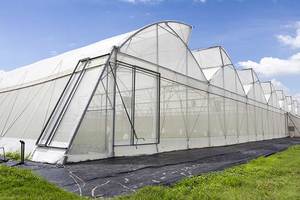 ตาข่ายกันแมลง SONA NET ขนาด 40x24 ตาข่าย 5 ปี ป้องกันรังสียูวี ผลิตจากวัสดุ HDPE ถักทอ 110gsm ป้องกันสำหรับโรงเรือนและบ้านตาข่าย - Product Image 2