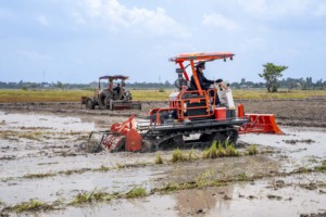 Tracteur chenillé HOGICO 80VN/Turbo, moteur diesel 80 CV, efficace en termes de coûts, équipements agricoles, haute productivité, best-seller - Product Image 2
