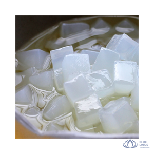 สินค้าขายดี |   น้ำตาลมะพร้าวเนื้อเจลลี่พร้อมน้ำเชื่อมรสชาติอร่อยจากเวียดนาม สำหรับร้านเครื่องดื่ม จำหน่ายแบบขายส่ง - Product Image 1