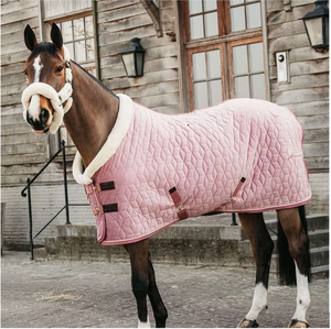 Manta Combinada de Invierno para Caballo al por Mayor con Refuerzos Altos, Impermeable, de Ripstop, de Gran Peso, Equipo Ecuestre - Product Image 2