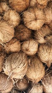 Blocs de coco de noix de coco du Vietnam de haute qualité milieu de culture de tourbe léger biodégradable écologique pour le jardinage hydroponique - Product Image 3