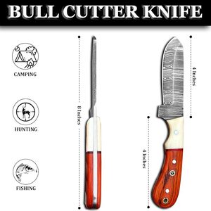 Cuchillo Bull Cutter de 8 Pulgadas, Hoja de Acero de Damasco con Punta Caída, Mango de Madera, Cuchillo para Camping, Caza, Pesca y Supervivencia al Aire Libre - Product Image 6