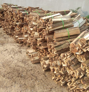 Bûches de bois dur coupées en gros pour foyers extérieurs et poêles à bois – Produit énergétique pour feux de camp - Product Image 5