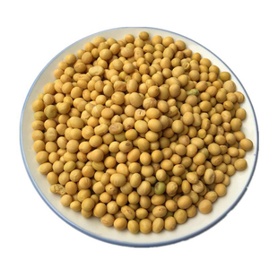 Soja naturel en vrac prêt à l'exportation pour l'industrie alimentaire et les acheteurs commerciaux - Product Image 1