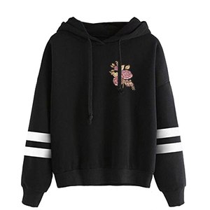 Sweat-shirts à capuche pour femmes, brodés sur le devant, en molleton de coton écologique, pull-over, OEM, vente en gros, sweats à capuche pour femmes - Product Image 1