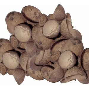 Coques de noix de coco brutes concassées séchées au soleil du Tamil Nadu pour fours à charbon, carbonisation professionnelle, haute qualité, grade A, faible teneur en cendres - Product Image 3