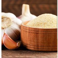 Ajo en Polvo Premium AD Natural, Especias Molidas Finas a Granel para Aplicaciones Culinarias, Fabricación de Alimentos, Distribución al por Mayor
