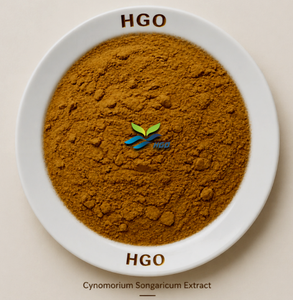 Hgo สารสกัดจาก Cynomorium songaricum จากธรรมชาติบริสุทธิ์ (เกรดอาหาร) ข้อมูลจำเพาะ10:1 (สารสกัดอัตราส่วน) - Product Image 1