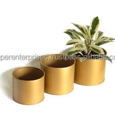 Decoración de almacenamiento de plantas de Cactus de latón de alta calidad, acentos decorativos para el hogar, maceta de latón, suministros de artículos de jardín, maceta para balcón y terraza - Product Image 2