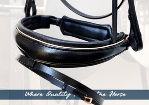 Brida Premium HM Global Equestrian con ceñidor de cuero DD de vaca suave de 10 mm y frontal de cuero con cristales Arena para salto GP Full Cob - Product Image 4