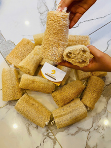 Esponja de Lufa Natural Multiusos para la Limpieza Corporal y el Baño Diario - Product Image 1