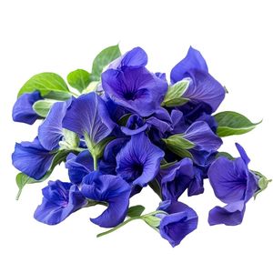 Standard Bulk Dried Butterfly Pea Flowers Natural Blue Petals Herbal Tea 100% Natural <b>Slimming</b> Beverage Handmade Vietnam Using - Product Image 3