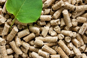 เม็ดไม้สนขนาด 6 มม. ขายดี มีความต้องการสูง ผลิตภัณฑ์เม็ดไม้สำหรับระบบทำความร้อนจากยูเครน ราคาพิเศษ - Product Image 5