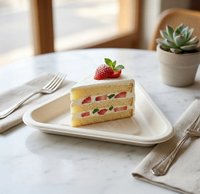 Assiette à pizza jetable en pulpe moulée compostable de qualité supérieure, plateau alimentaire écologique, plateau moderne de luxe résistant à l'eau