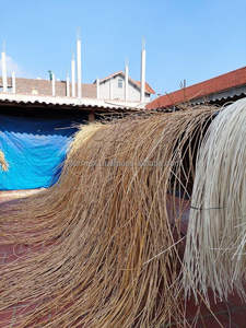 Fabricante y Exportador de Núcleos de Ratán, Venta al por Mayor, OEM, Vietnam, Material Natural Premium - Product Image 6