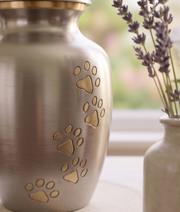 Urnas de Cremación para Mascotas y Urnas Conmemorativas de Metal para Cenizas de Perros y Gatos, Urna de Cremación de Latón Elegante - Product Image 6