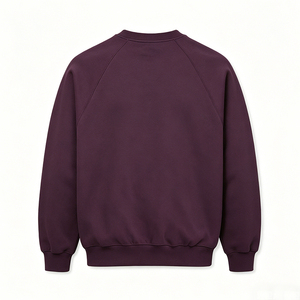 Sweat-shirt unisexe à col rond coupe classique Hawk Eye, en coton molletonné français 370g, écologique, anti-boulochage, pour l'hiver, style décontracté - Product Image 4