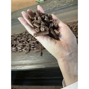 GIA GIA Nguyen เม็ดมะม่วงหิมพานต์แบบอัดเม็ดวัตถุดิบสำหรับฟอกหนังและเครื่องให้อาหารสัตว์ขนาดใหญ่แบบเวียดนาม - Product Image 3