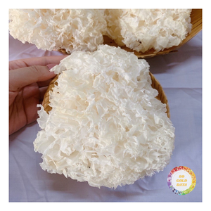 Hongo de Nieve Seco Premium 99GD a Granel - Sin Azufre, Vegetariano, Hongo Blanco Glutinoso Suave para Postres y Sopas Dulces - Product Image 1