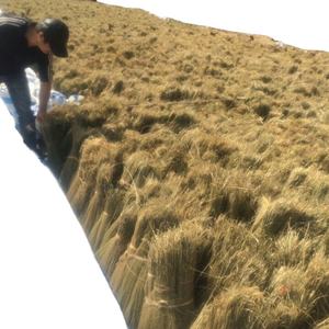 Venta al por mayor de materias primas usadas para la producción de cortacésped - Product Image 1