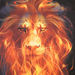 Sudadera con Capucha Gráfica para Hombre, Resistente al Calor Extremo, con Logotipo Personalizado, Sudadera de Forro Polar, Ropa Deportiva Profesional para Gimnasio, Nueva Colección 2026 - Product Image 4