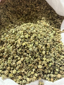 ชาสมุนไพรแห้งคุณภาพสูงจากต้นปุนเจอร์วีน (Tribulus Terrestris) แบบหั่นเป็นชิ้น บรรจุ 25 กก. จากปากีสถาน - ยี่ห้อดูร์เวช - Product Image 2