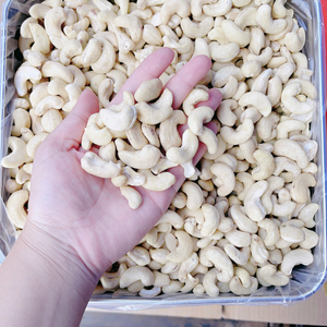 Reasonable Price Caju Badam Cashew <b>Kernel</b> SANTIGO Kaju Cashew <b>Nuts</b> <b>Kernel</b> Exported To Middle East - Product Image 1