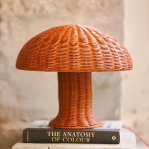 Lampes de table pour la décoration de la maison, petite lampe de bureau en rotin brun, lampe de chevet de haute qualité - Product Image 6