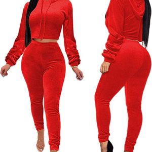 <b>Women</b> Velvet Winter Two Piece Set Crop Top and Shorts Waterproof Breathable Cotton <b>Velour</b> <b>Tracksuit</b> Matching Sets - Product Image 6