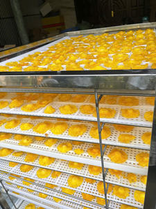 Ananas séché doux de qualité supérieure du Vietnam, saveur naturellement sucrée, ananas séché doux pour le marché d'exportation, emballage flexible en vrac - Product Image 5