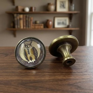 <b>Brass</b> Round Furniture <b>Knob</b> with Owl Design for Drawer Cabinet Home Office Use - Product Image 1