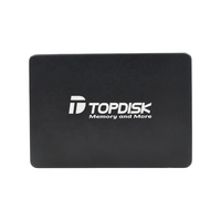 Topdisk Solid State Drive (SSD) Berkualitas Tinggi 120GB 128GB 240GB 256GB 480GB 512GB 960GB 1TB 2TB