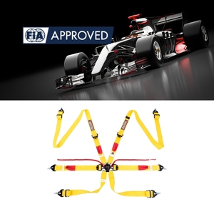 สายรัดนิรภัยสำหรับเบาะนั่งแข่งรถ TBRACING SPORT PLUS 3 ได้รับการรับรองจาก FIA พร้อมสายรัดยืดหยุ่นแบบปลดเร็วและสีที่สามารถเลือกได้ - Product Image 1