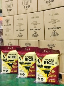 Arroz Redondo Seco de Grano Mediano Japonica Sunrise White (Ms Elly-+84 829 526 179) Cosecha 2026 - Product Image 5