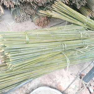 Varas de Bambú Premium de Vietnam, Material Natural para Construcción, Fabricación de Muebles, Andamios y Decoración de Jardín - Product Image 1
