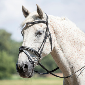 Juego de Riendas de brida de caballo de nylon con Smart Mono Crown Sparkle Bling Leather Rein para mayorista - Product Image 5