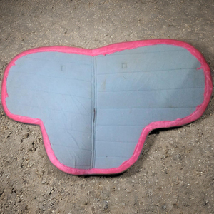 Almohadilla de sillín de espuma HD acolchada de visón y forro polar 1 pulgada; dólar 5 mazorca completa Shetland - Product Image 1