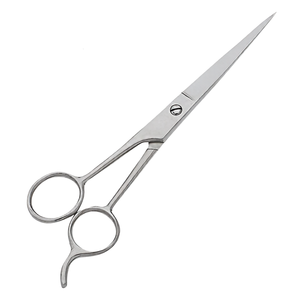 Tijeras de Peluquería Profesionales de Acero Inoxidable de Alta Calidad, Tijeras de Salón con Hoja Afilada y Mango Ergonómico, Herramienta de Estilismo - Product Image 1